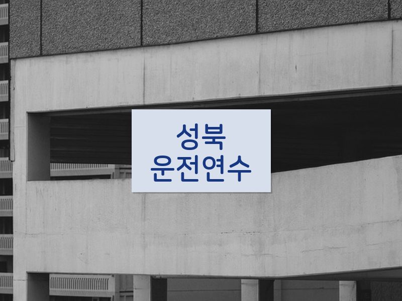 성북운전연수 후기