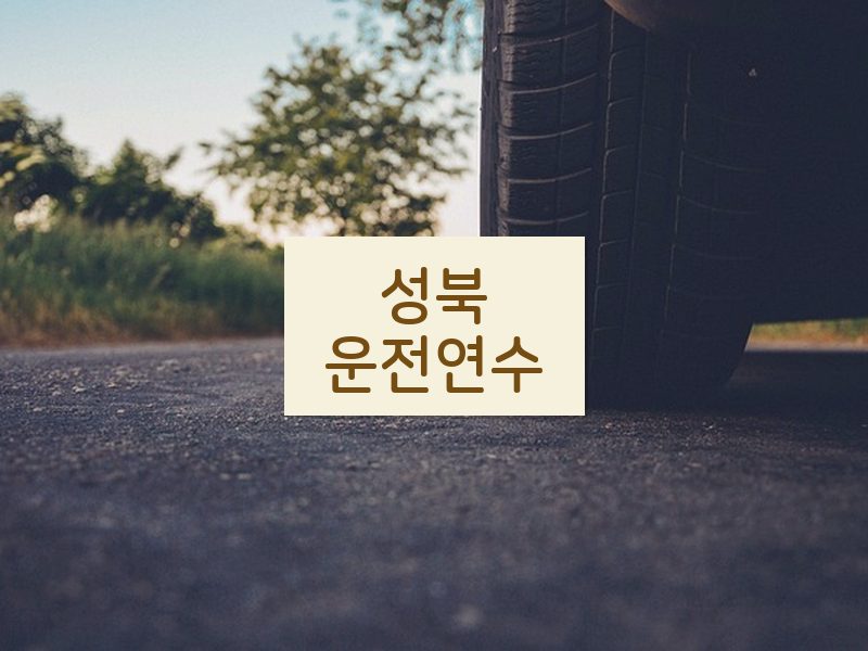 성북운전연수 후기