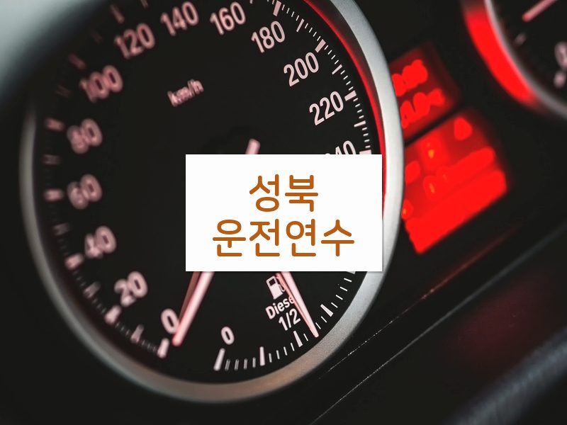 성북운전연수 후기