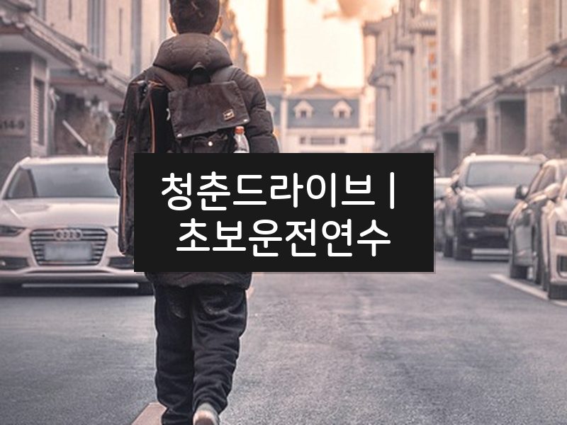 청춘드라이브 | 초보운전연수 후기