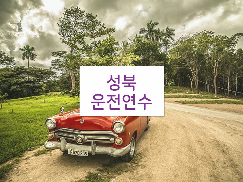 성북운전연수 후기