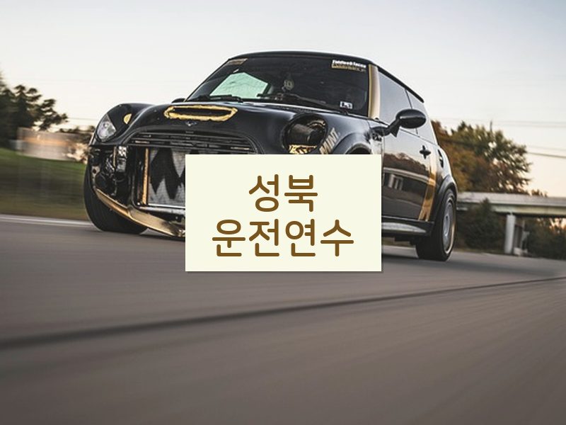 성북운전연수 후기
