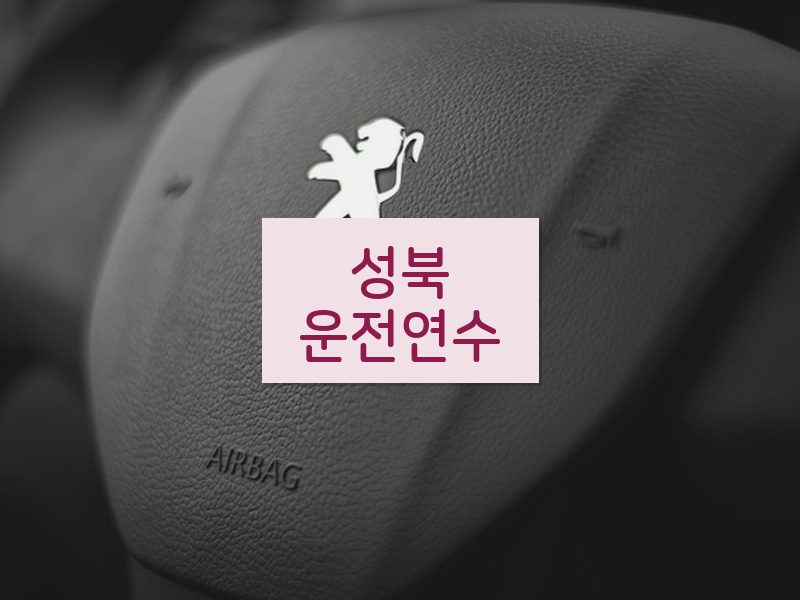 성북운전연수 후기