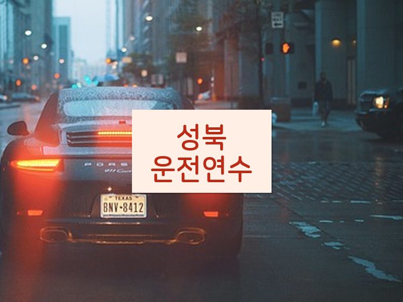 성북운전연수 후기