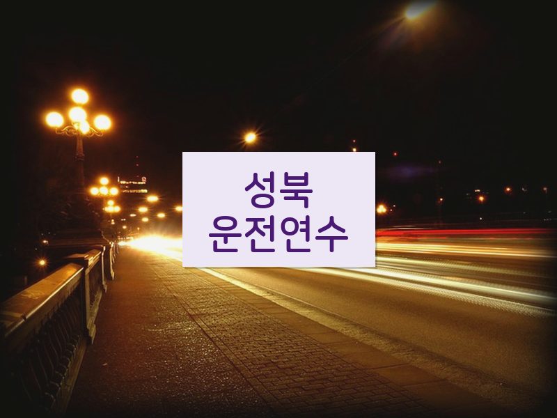 성북운전연수 후기