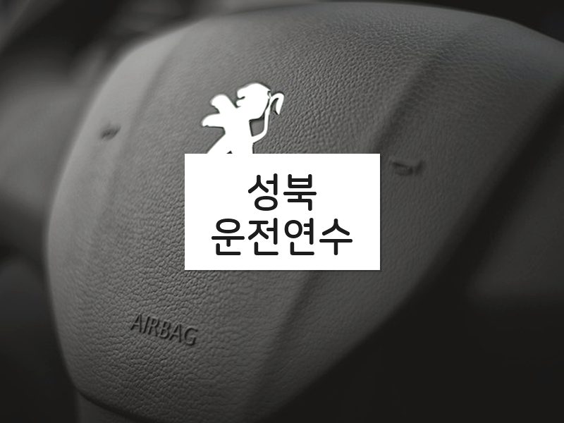 성북운전연수 후기