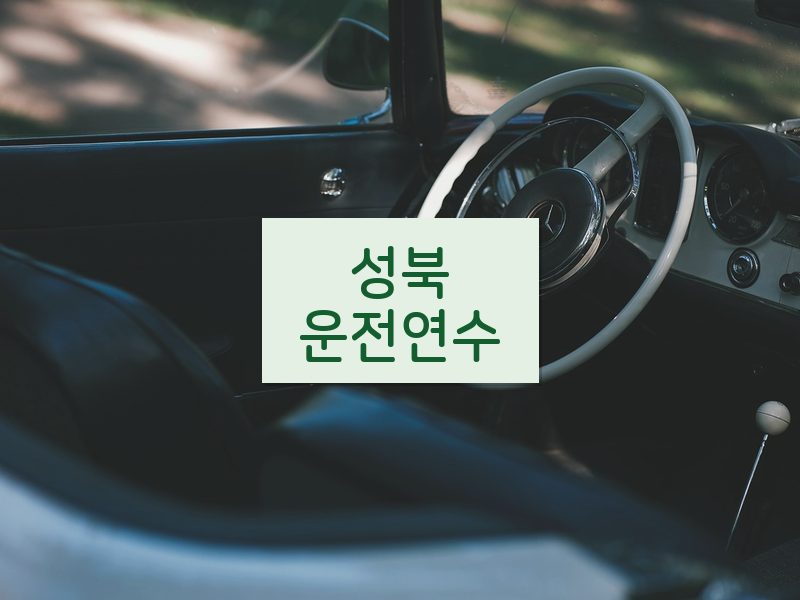 성북운전연수 후기