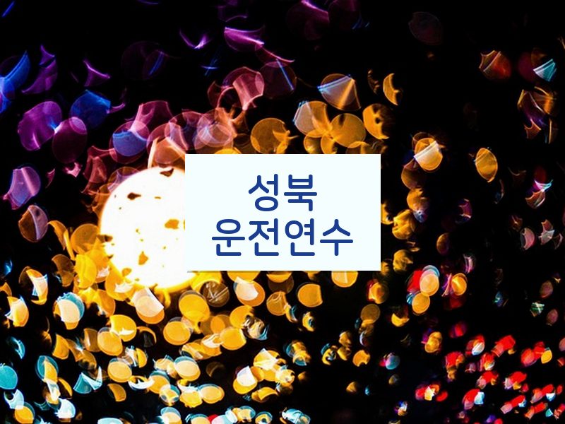 성북운전연수 후기