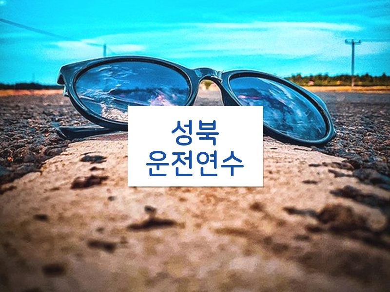 성북운전연수 후기