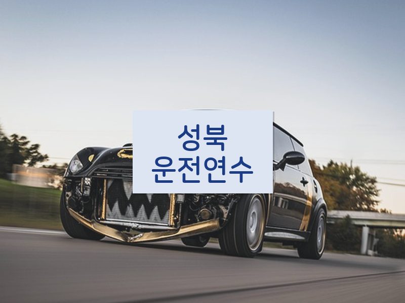 성북운전연수 후기