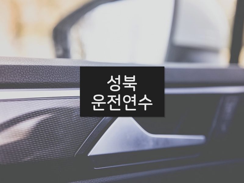 성북운전연수 후기