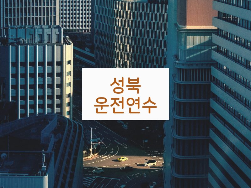 성북운전연수 후기