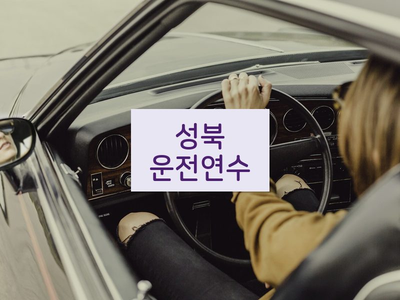 성북운전연수 후기