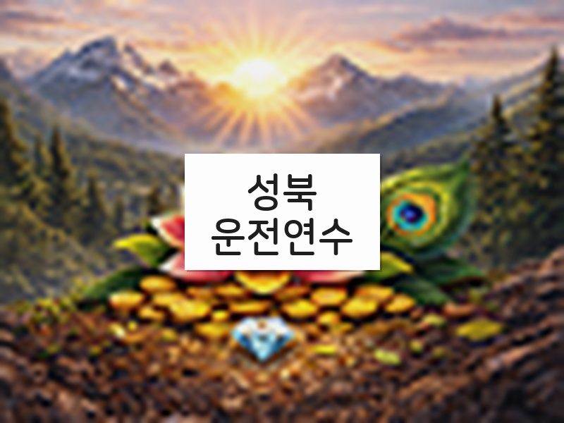 성북운전연수 후기