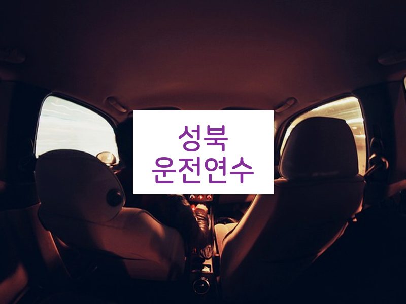 성북운전연수 후기
