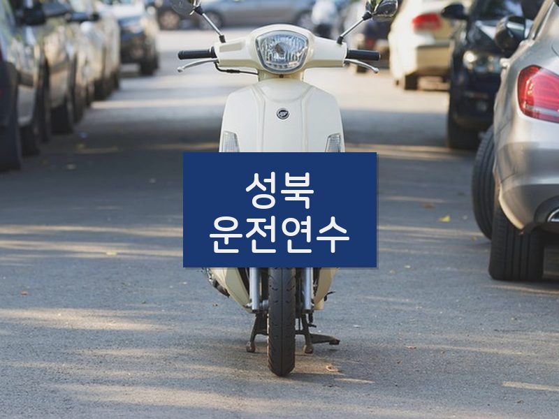 성북운전연수 후기
