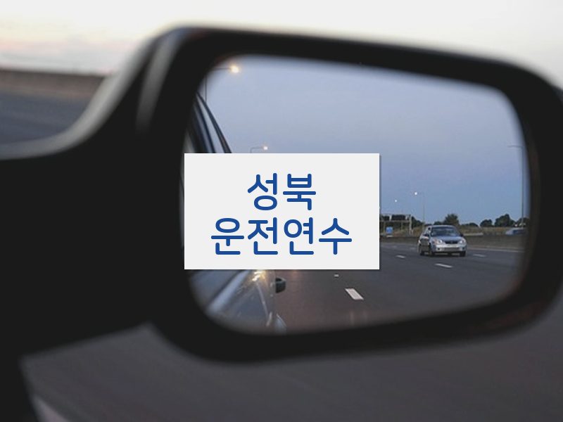 성북운전연수 후기