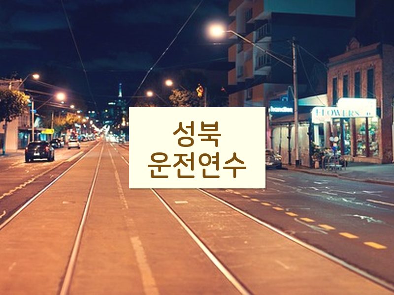 성북운전연수 후기