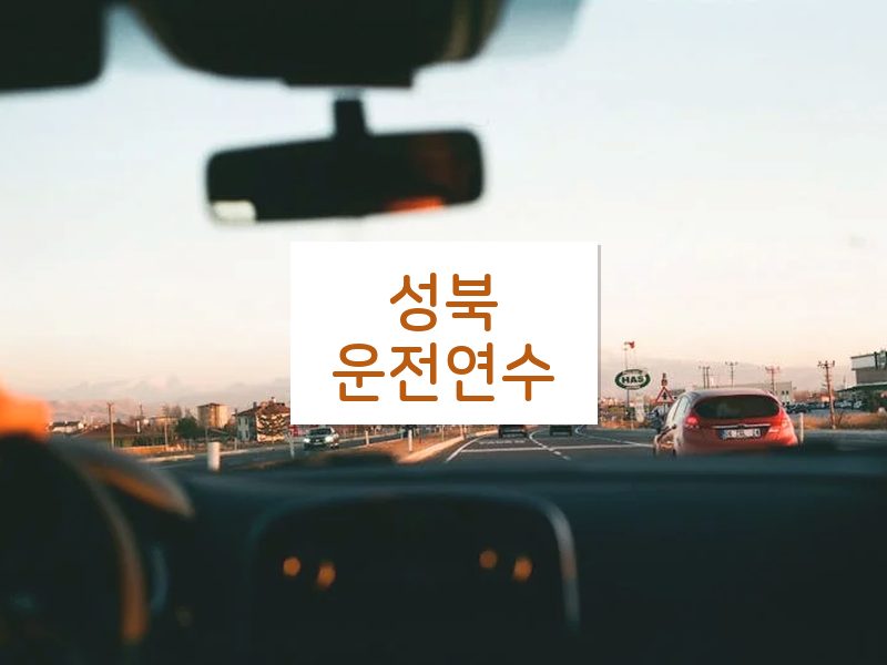 성북운전연수 후기