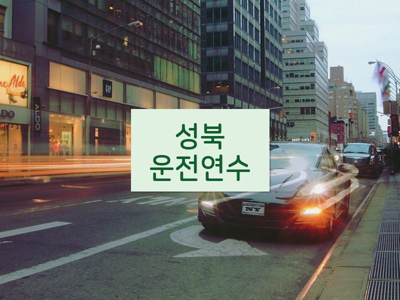 성북운전연수 후기