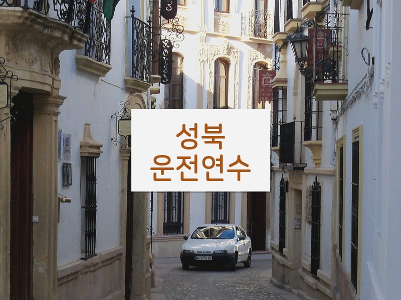 성북운전연수 후기