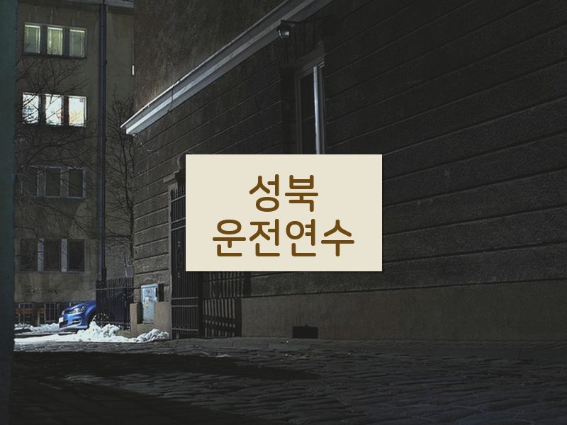 성북운전연수 후기