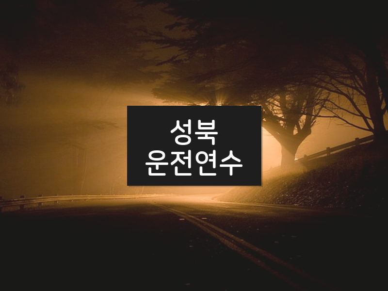 성북운전연수 후기