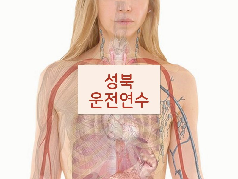 성북운전연수 후기