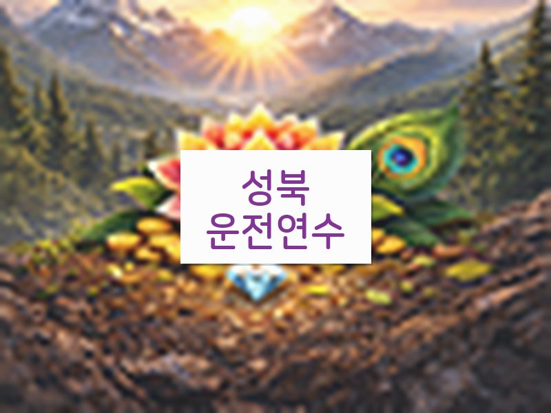 성북운전연수 후기