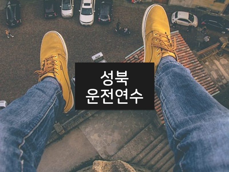성북운전연수 후기