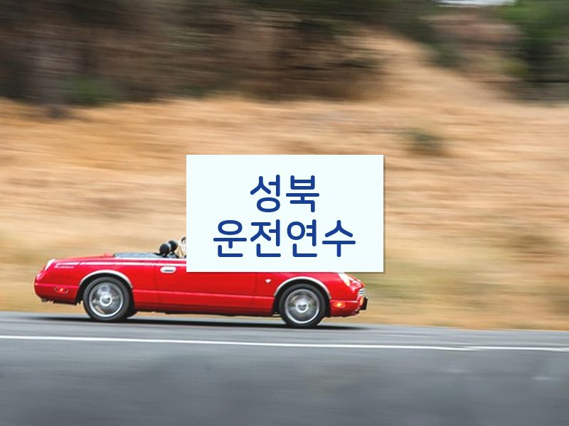 성북운전연수 후기