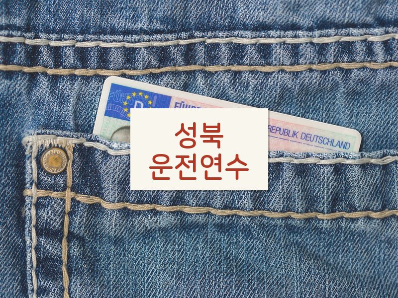 성북운전연수 후기