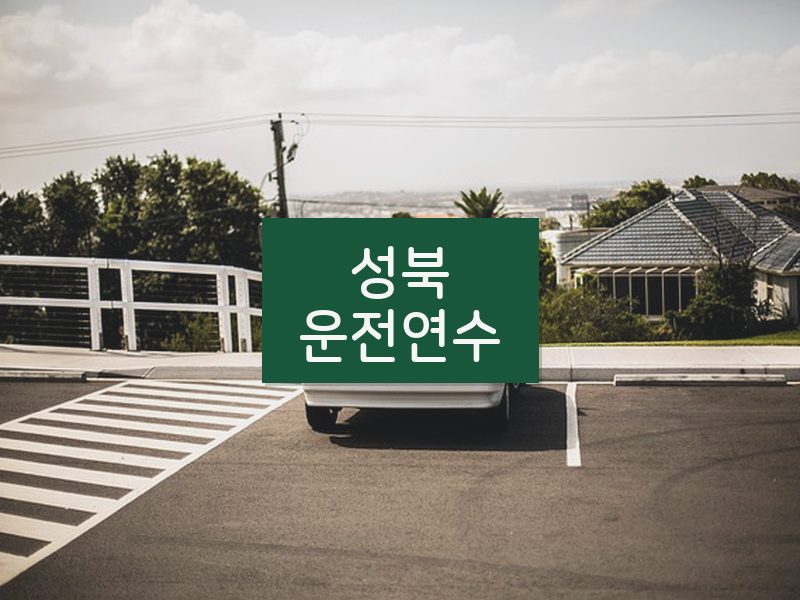 성북운전연수 후기