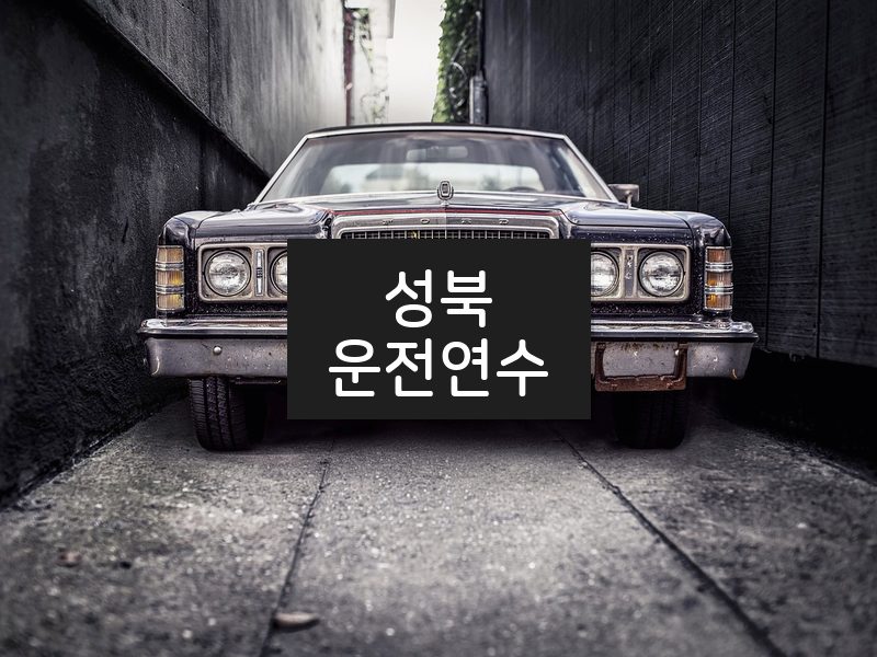 성북운전연수 후기