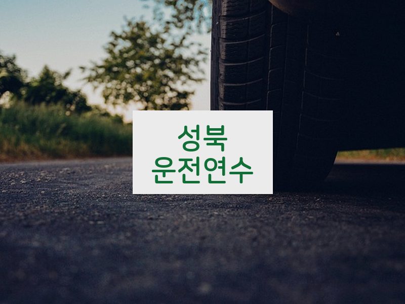 성북운전연수 후기