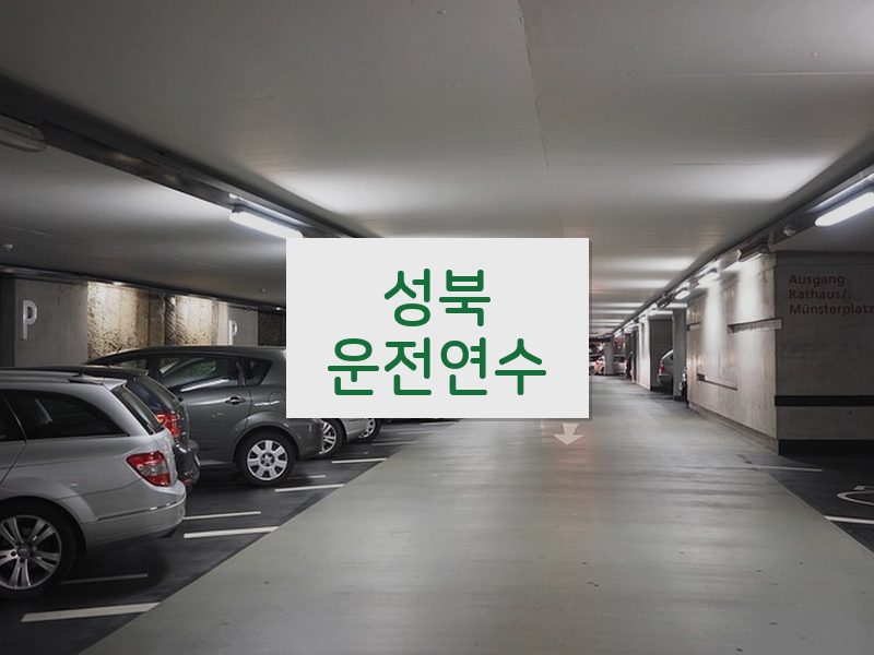 성북운전연수 후기