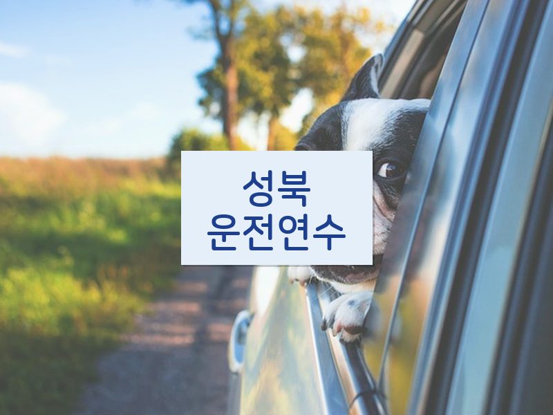 성북운전연수 후기