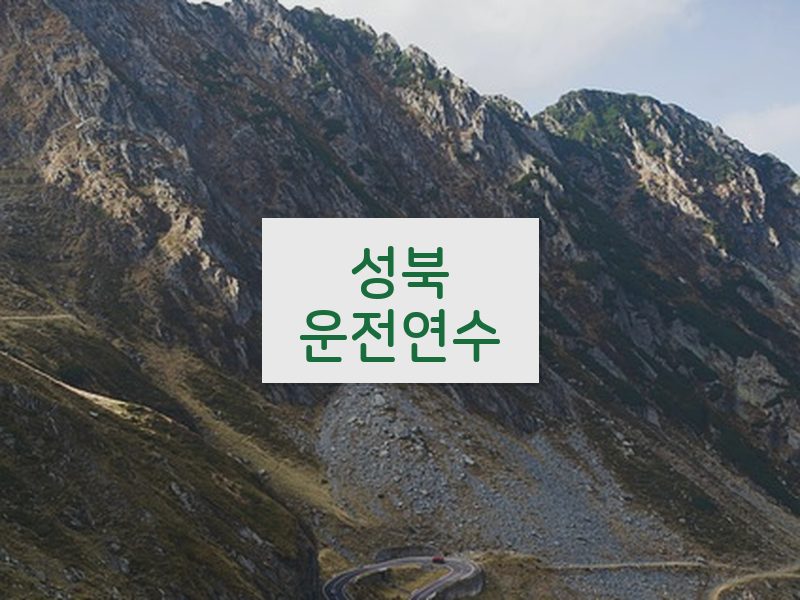 성북운전연수 후기