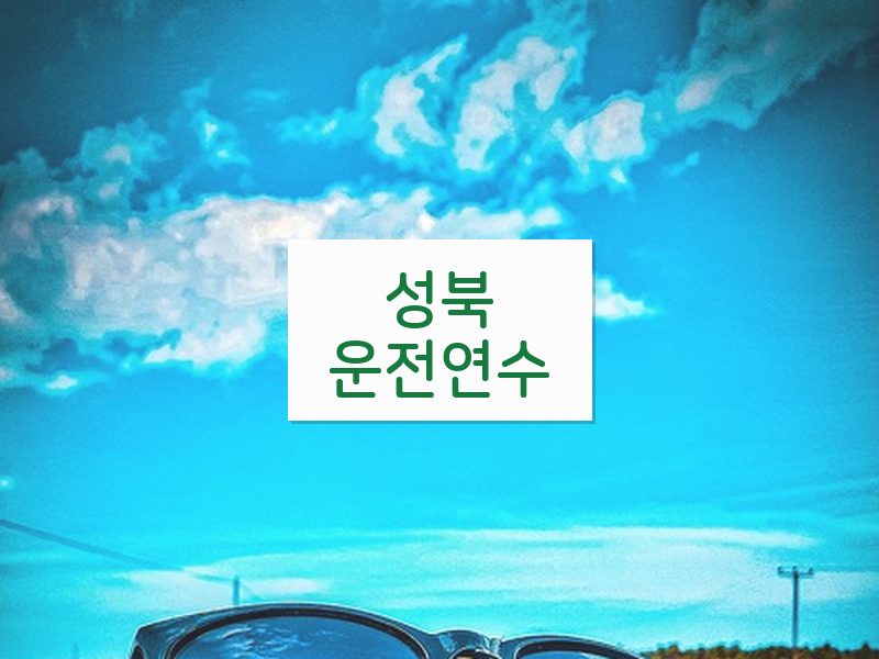 성북운전연수 후기