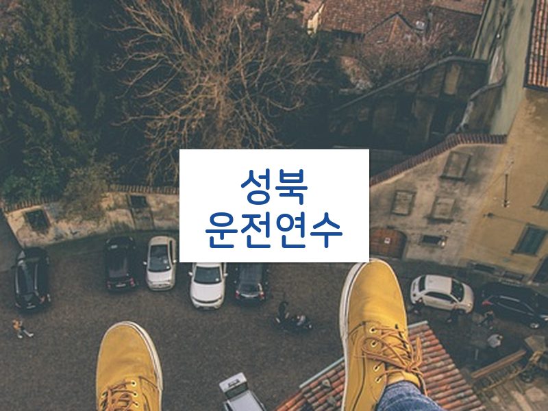 성북운전연수 후기