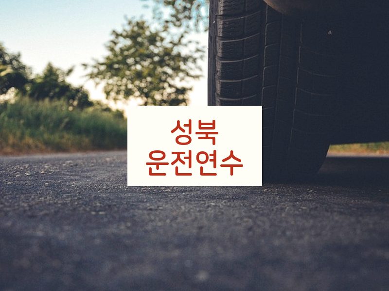 성북운전연수 후기