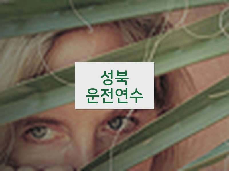 성북운전연수 후기