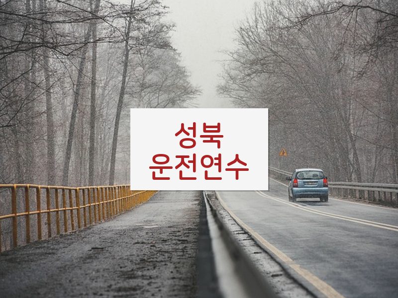 성북운전연수 후기