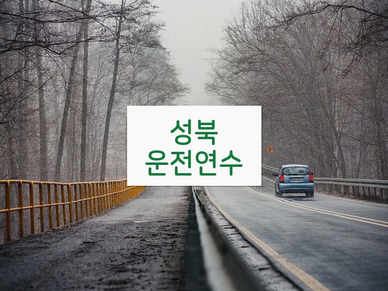 성북운전연수 후기