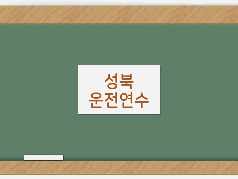 성북운전연수 후기