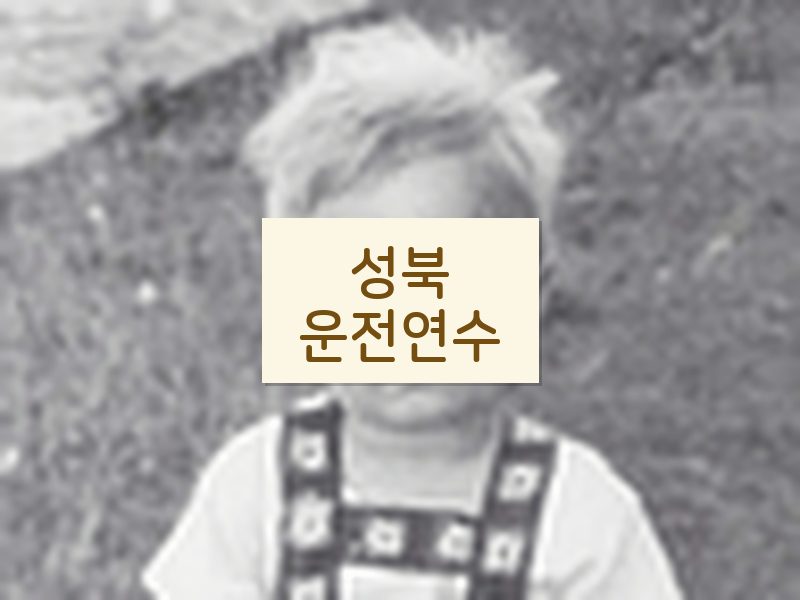성북운전연수 후기