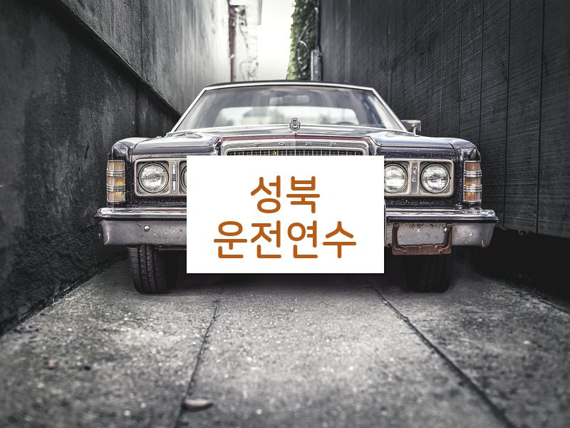 성북운전연수 후기