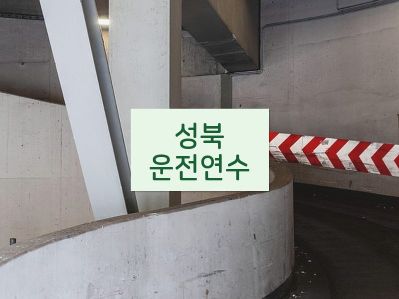성북운전연수 후기