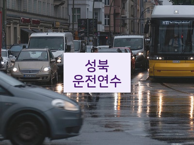 성북운전연수 후기