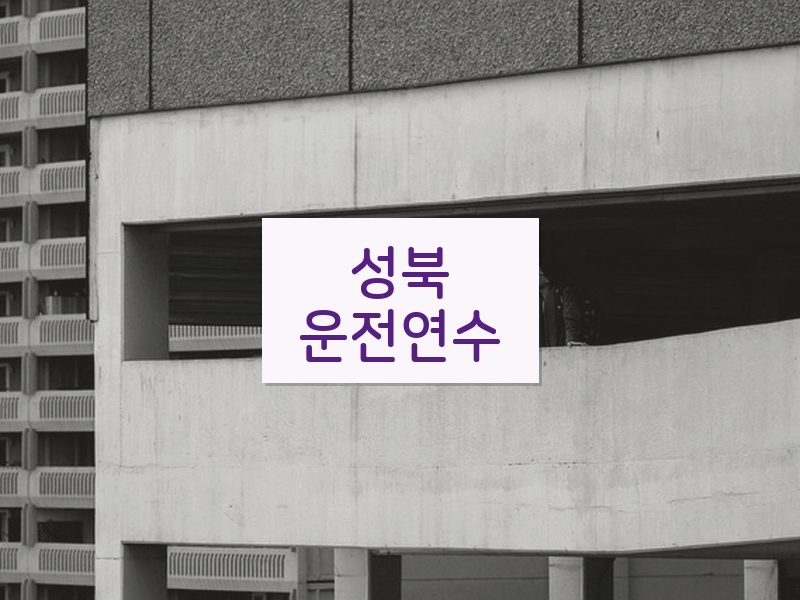 성북운전연수 후기